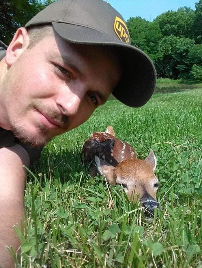 Adorable Mini Pig