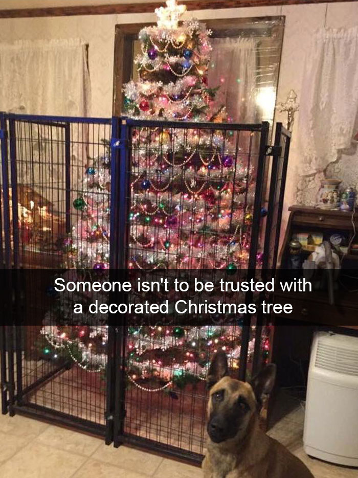 Christmas Tree Protection