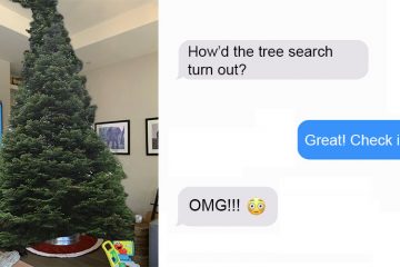 Dad trolling christmas tree