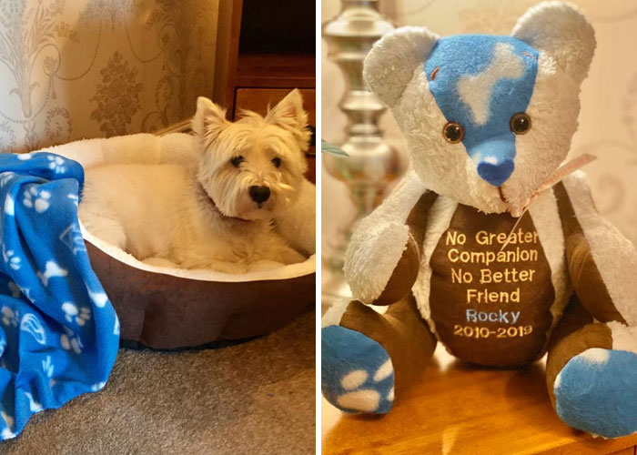 Dog's Blanket Turned into a Memory Bear