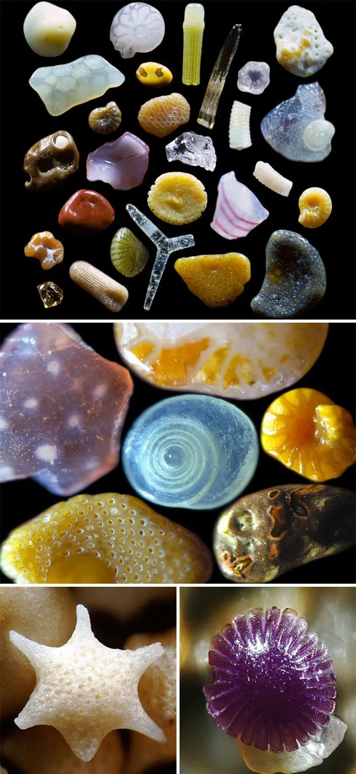 Fascinating Things Grains of Sand Magnified 100 to 300 Times