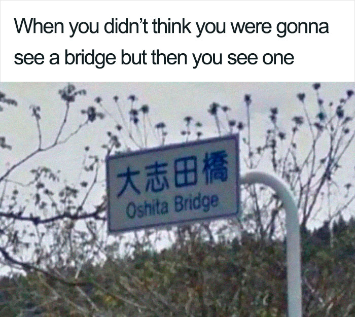Hilarious Puns Oshita Bridge