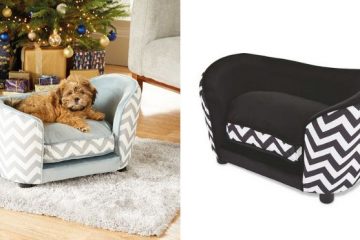 Luxury Sofa Beds for Dogs