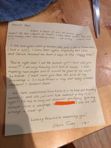 A Group Of Friends Get A Letter In Response To Them Begging The ...