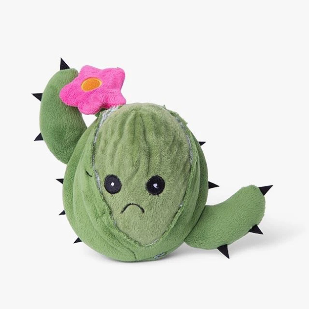The seed emerges from the BarkBox Cactus plush toy