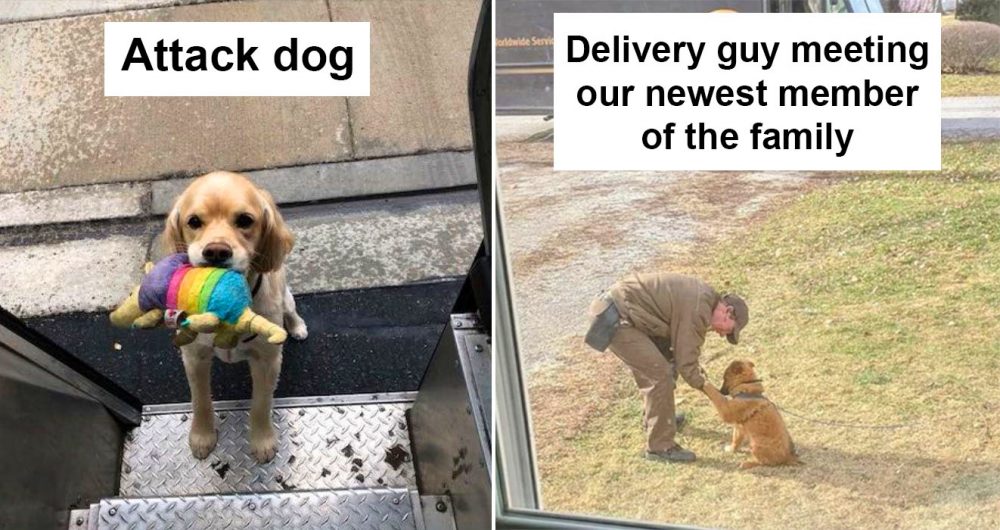 UPS Drivers and dogs