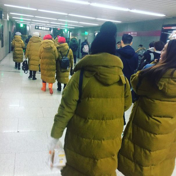 army of moss green winter coats