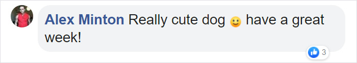comment about the german shepherd with dwarfism cute dog