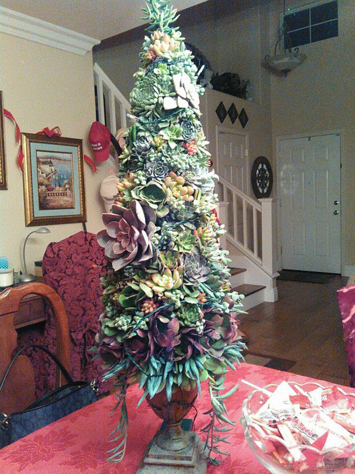 creative christmas tree ideas succulent