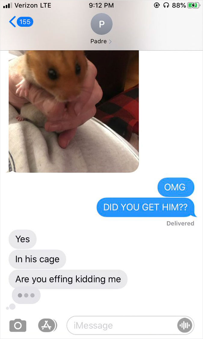 dad shows steph the naughty hamster