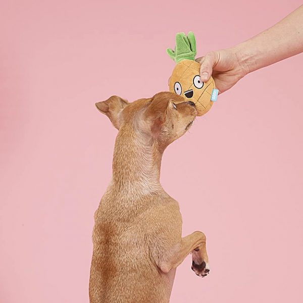 BarkBox 2 In 1 Plush Toys Are Perfect For Dogs That Destroy Soft Toys