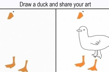 draw a duck challenge