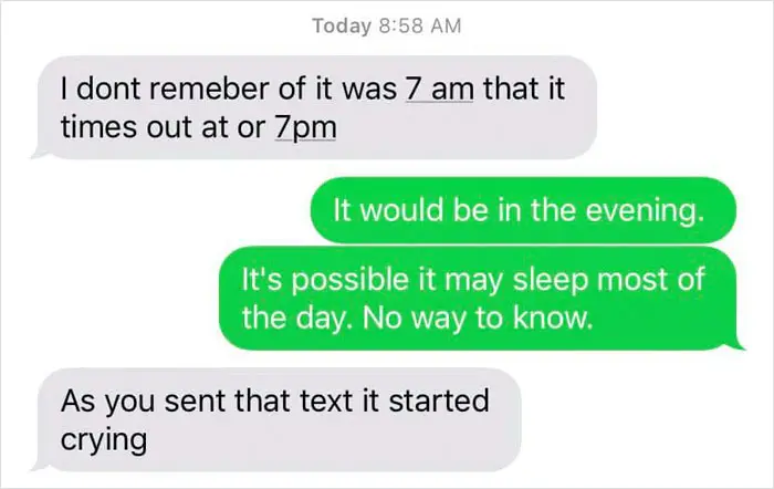 fake babies class project desperate texts confused of time