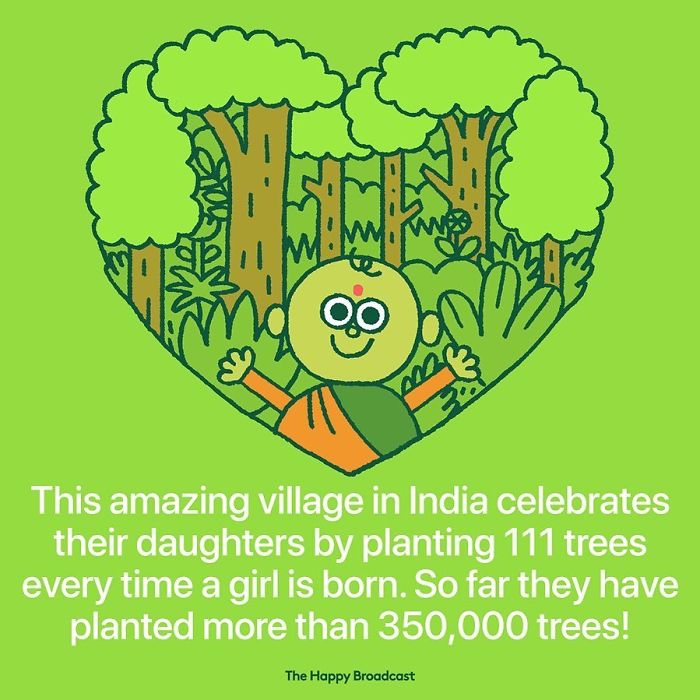 mauro gatti illustrations india daughter trees