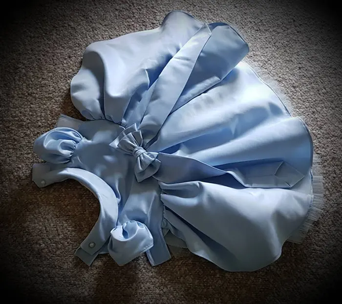 pale blue dog bridesmaid dress