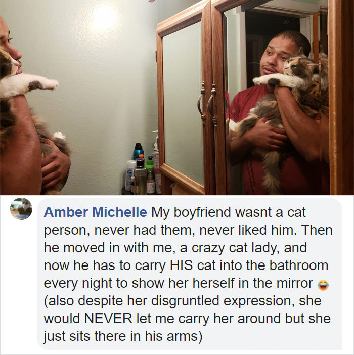 people who did not want cats and dogs stories amber