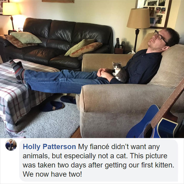 people who did not want cats and dogs stories holly