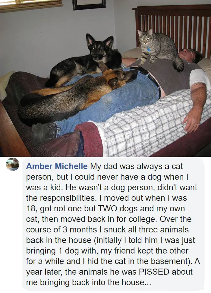 people who did not want pets stories amber