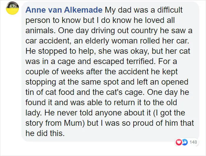 people who did not want pets stories anne