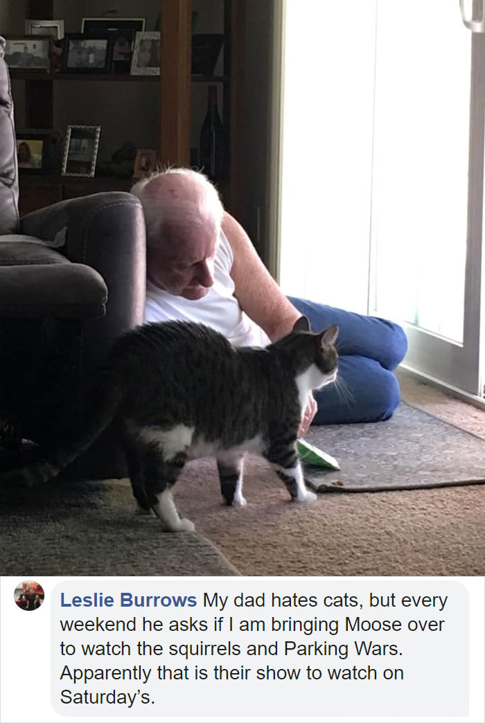 people who did not want pets stories leslie