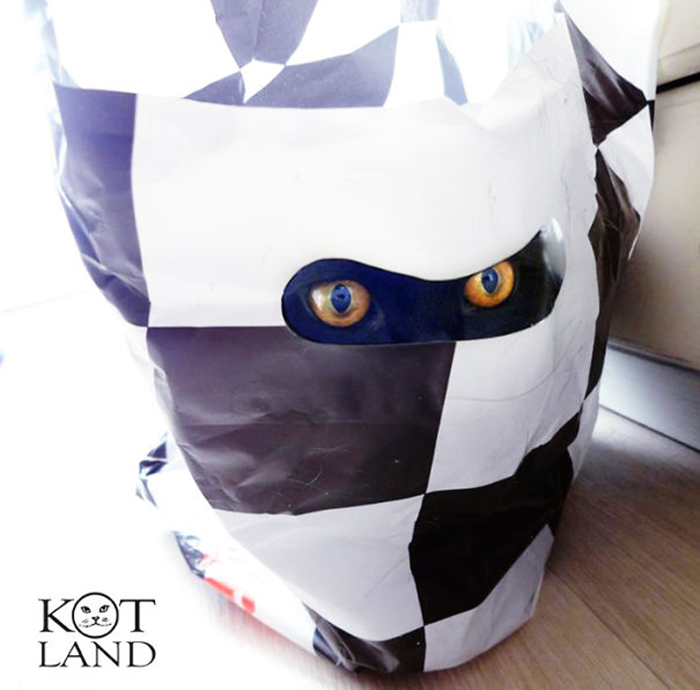 sneaky hiding kitty plastic bag mask