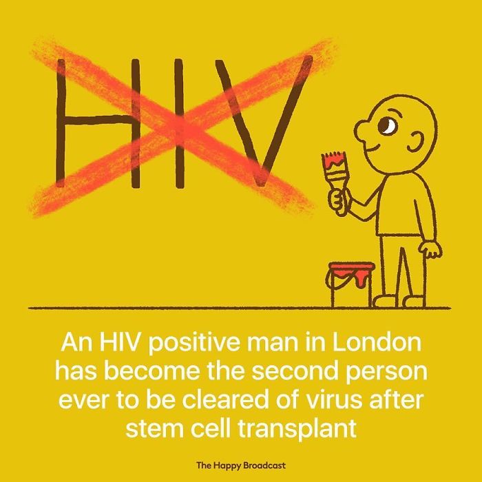 the happy broadcast stem cell transplant