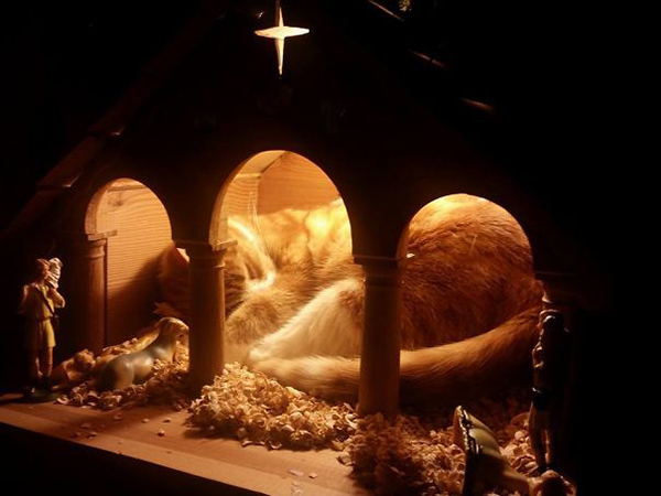 the jesus in our crib