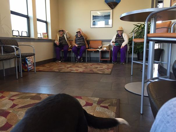 three elderlies with matching purple pants and shirts