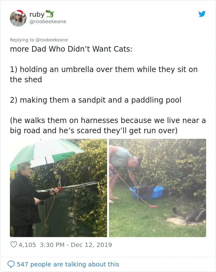 twitter story of a dad who did not want pets