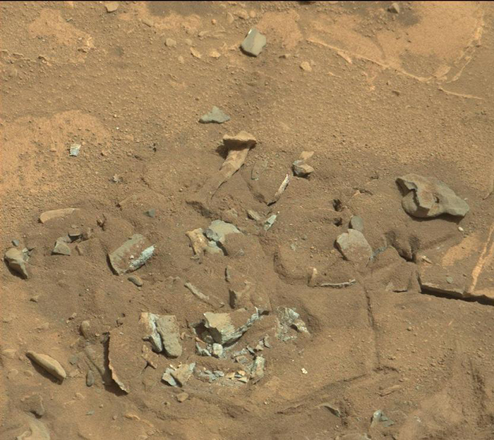 Bone up on Mars Rock Shapes