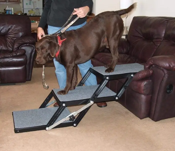 Brown Dog Getting Off a Couch through 3-step Foldable Dog Stairs