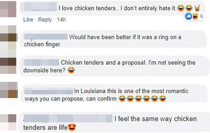 Facebook Comments on Chicken Tender Proposal