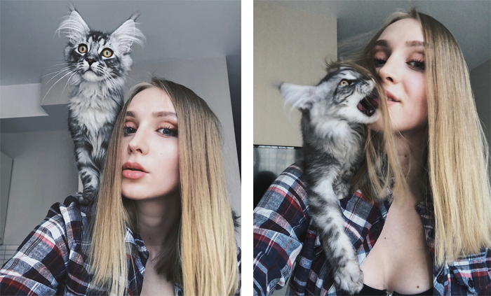 Lady with Her Kitten on Her Shoulder