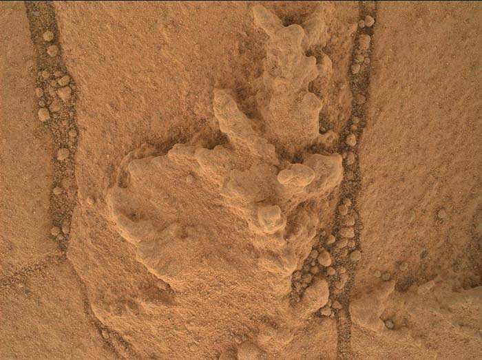 Resistant Features In Pahrump Hills Outcrop