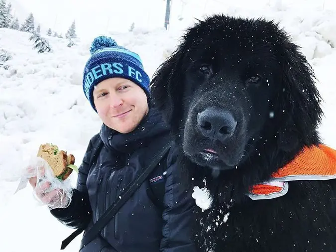 Sebastian the newfoundland with an orange vest