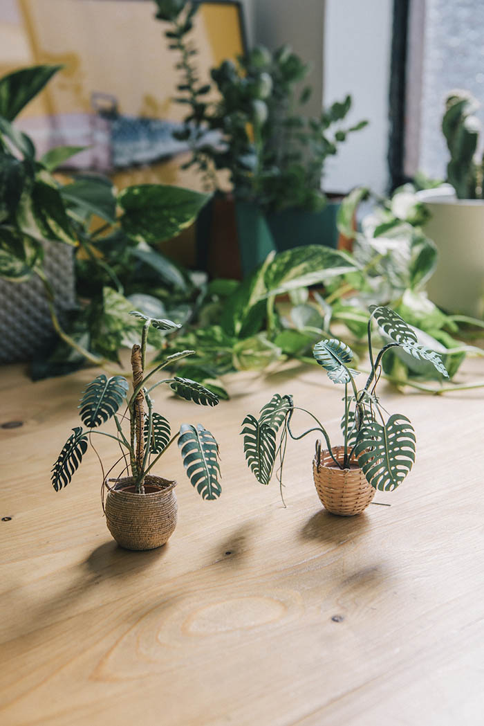 a pair of monstera paper plants in different paper baskets