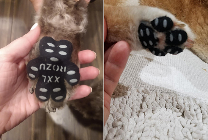 anti-slip paw protector for dogs