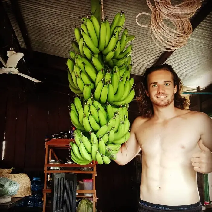 bunch of bananas captured