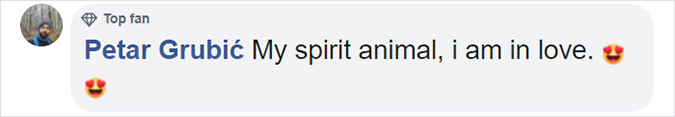 comment-my spirit animal