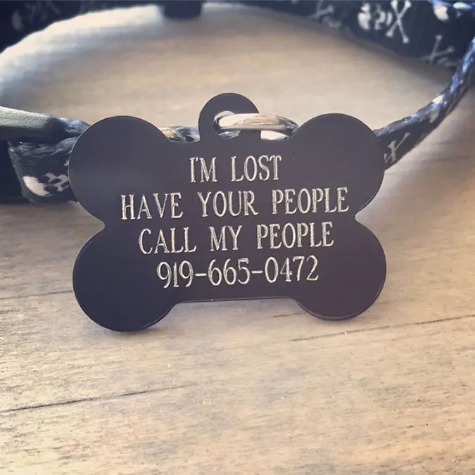 funny dog tags with owner's contact information