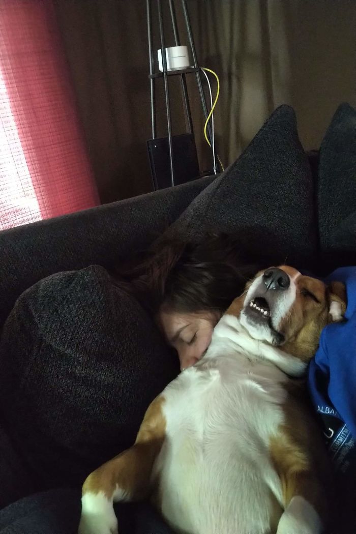 funny dog teeth deep sleep