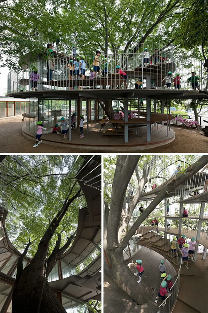 genius school ideas kindergarten treehouse