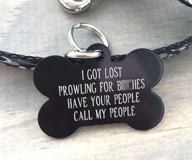 funny dog tags for dogs