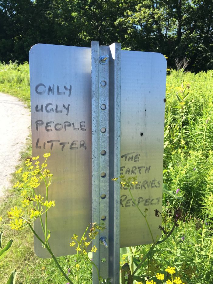 hilariously polite graffiti ugly people litter