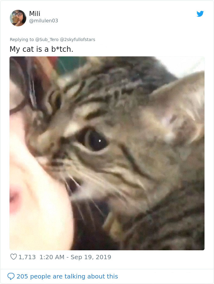 kitties with peculiar behaviors love bites