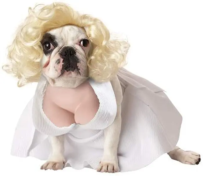 marilyn monroe dog costume