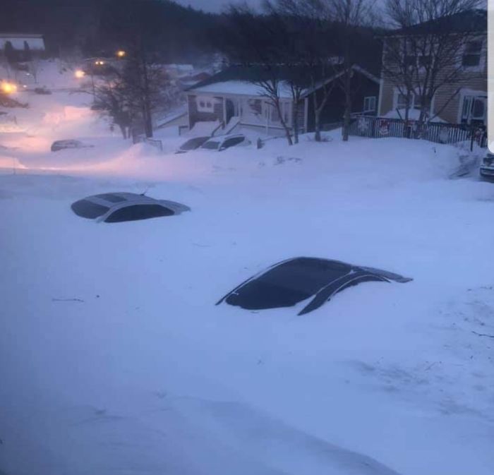 newfoundland blizzard cars buried in snow