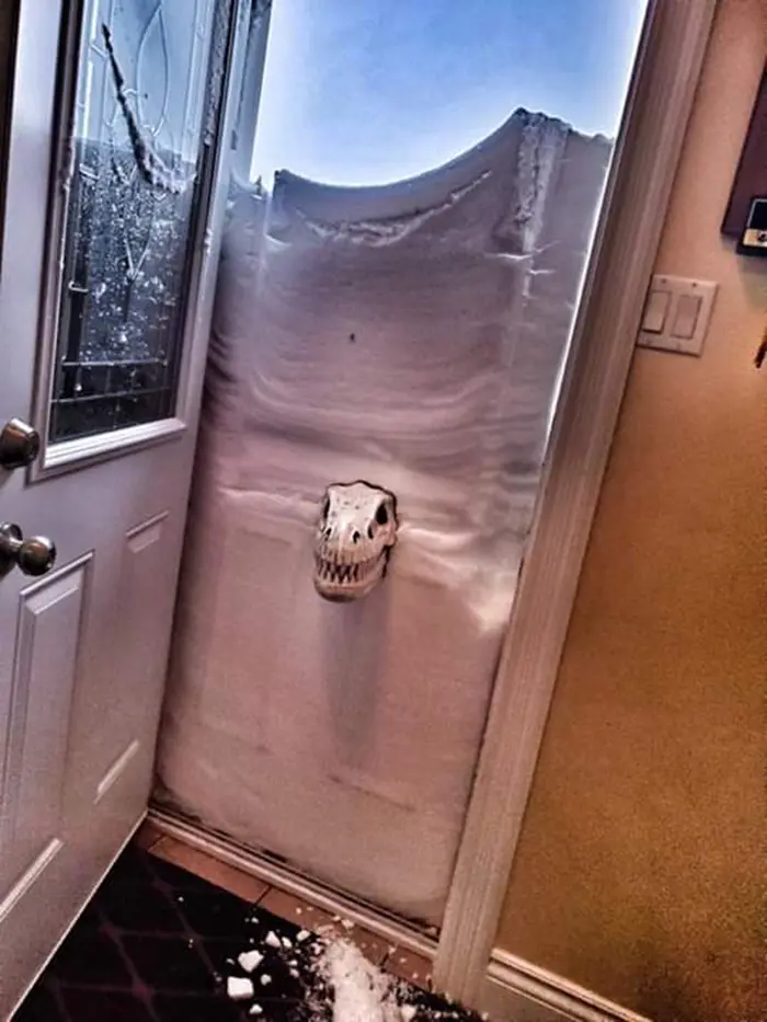 newfoundland blizzard dinosaur head