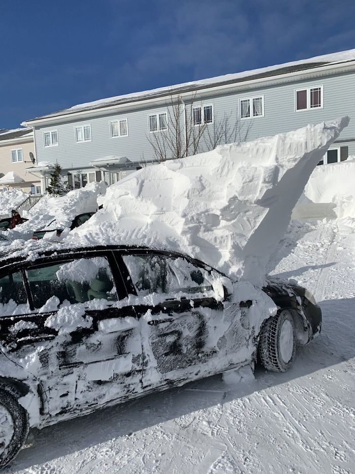 newfoundland blizzard dug up car