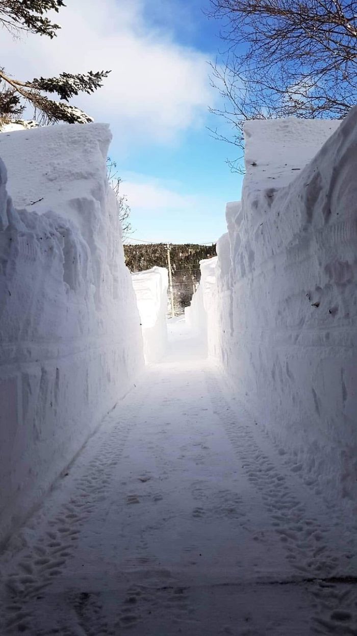 newfoundland blizzard ice wall driveway